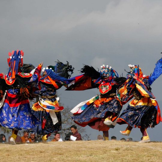 8days, 7nights (Paro)