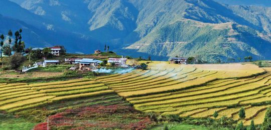 central bhutan