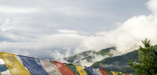 7days, 6nights (Paro)