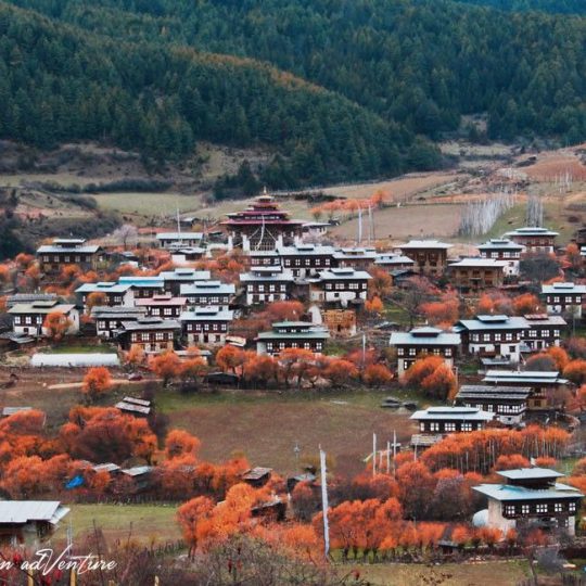 Bumthang Cultural